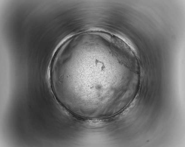 X0000096951198200802221316