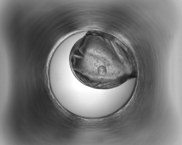 X0000096951200200802221316