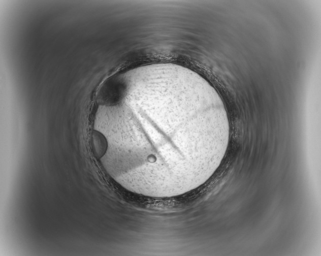X0000096951201200802221315