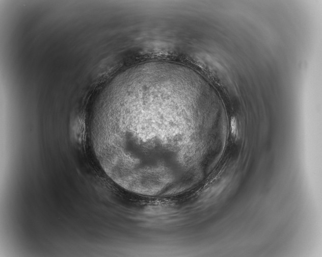 X0000096951203200802221315
