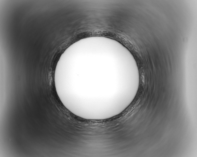 X0000096951204200802221315
