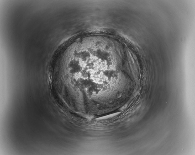 X0000096951206200802221315
