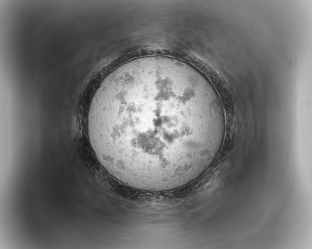 X0000096951207200802221315