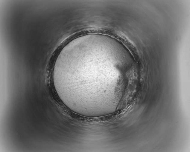 X0000096951208200802221315