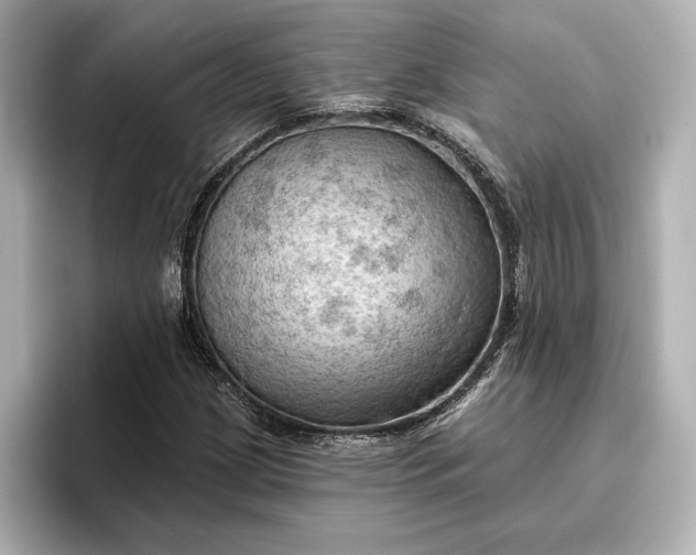 X0000096951209200802221315