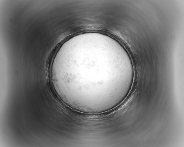 X0000096951211200802221315