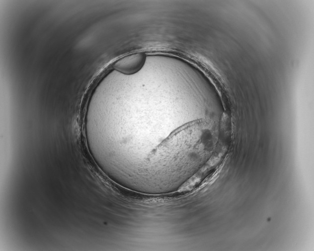 X0000096951212200802221315