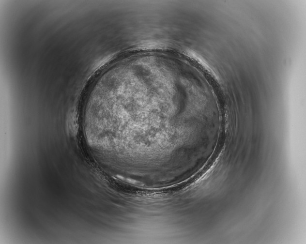 X0000096951213200802221315