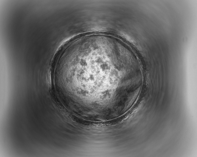 X0000096951214200802221315
