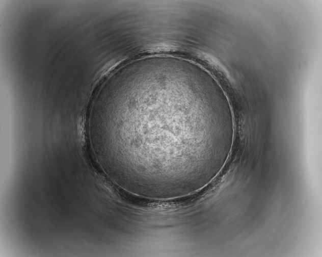 X0000096951217200802221315