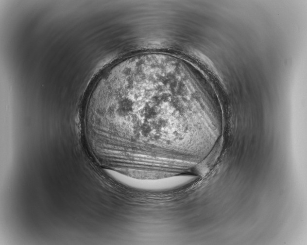 X0000096951218200802221315