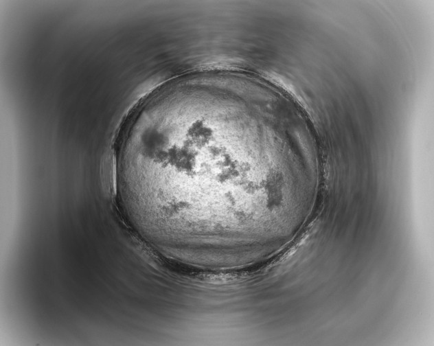 X0000096951219200802221315