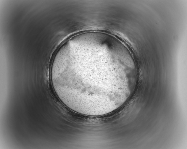 X0000096951220200802221315