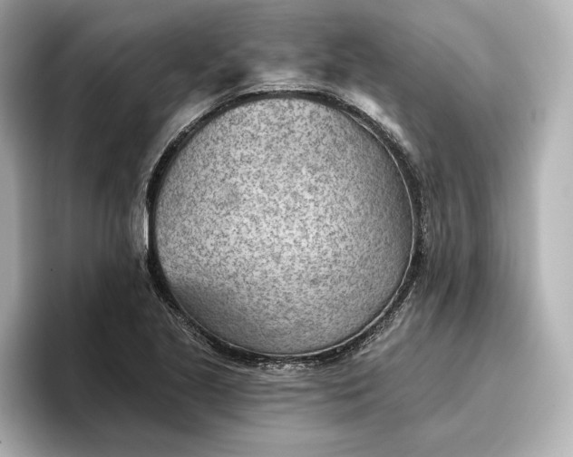 X0000096951221200802221315