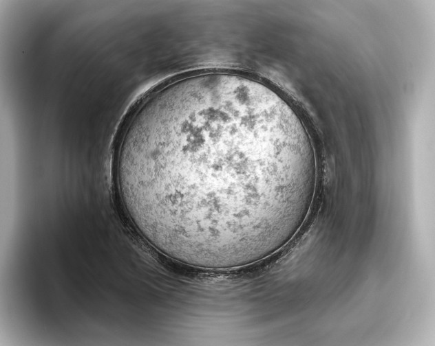 X0000096951222200802221315
