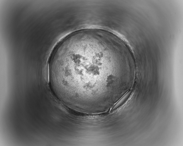 X0000096951223200802221315