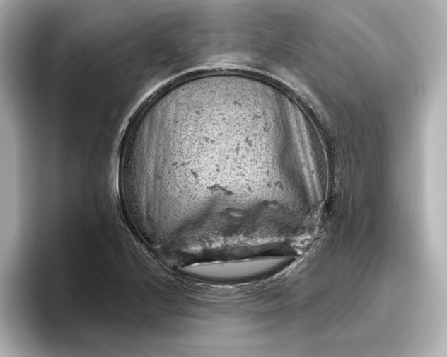 X0000096951224200802221315