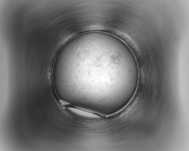 X0000096951225200802221315