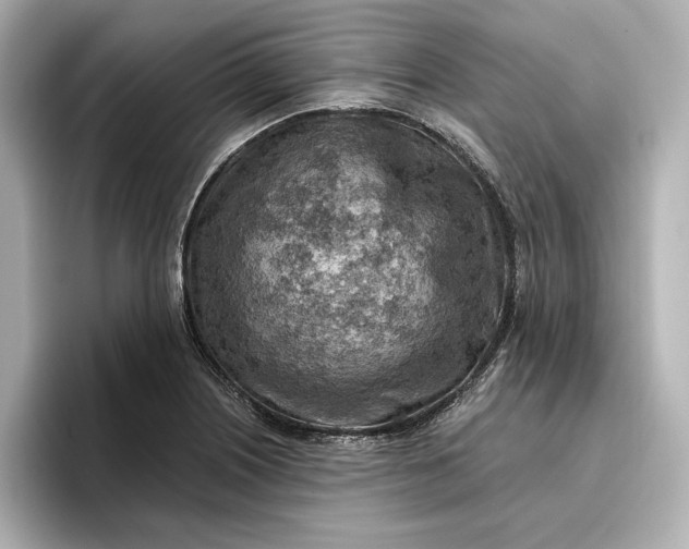 X0000096951226200802221315