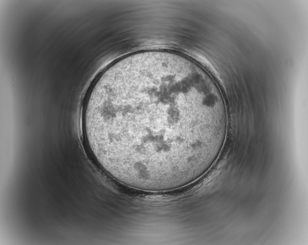 X0000096951227200802221315