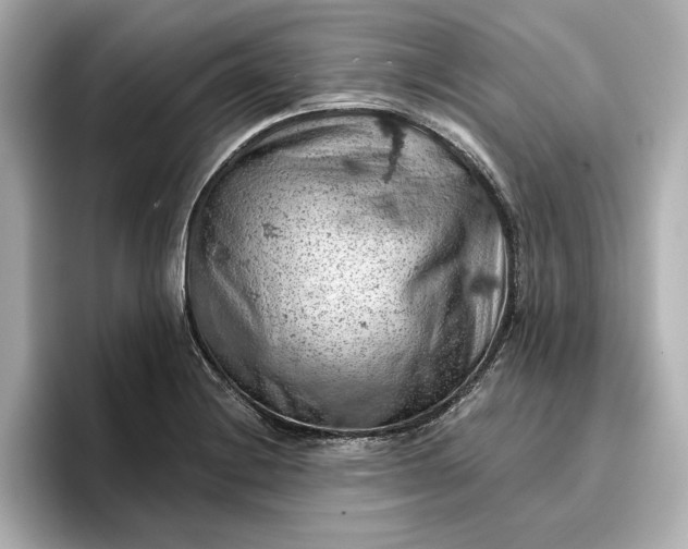 X0000096951228200802221315