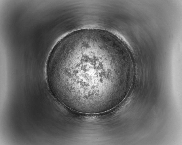 X0000096951230200802221315
