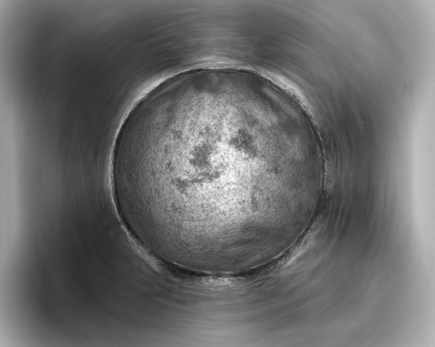 X0000096951231200802221315