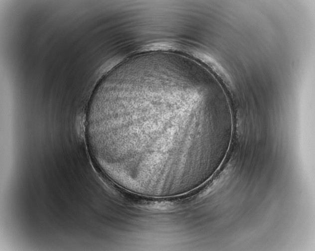 X0000096951233200802221315