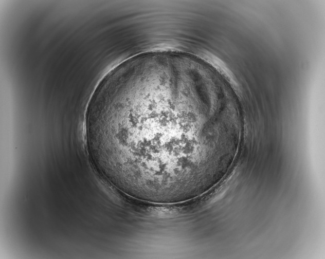 X0000096951234200802221315