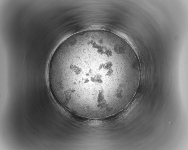 X0000096951235200802221315