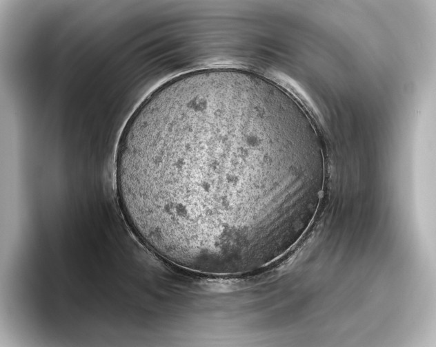 X0000096951236200802221316