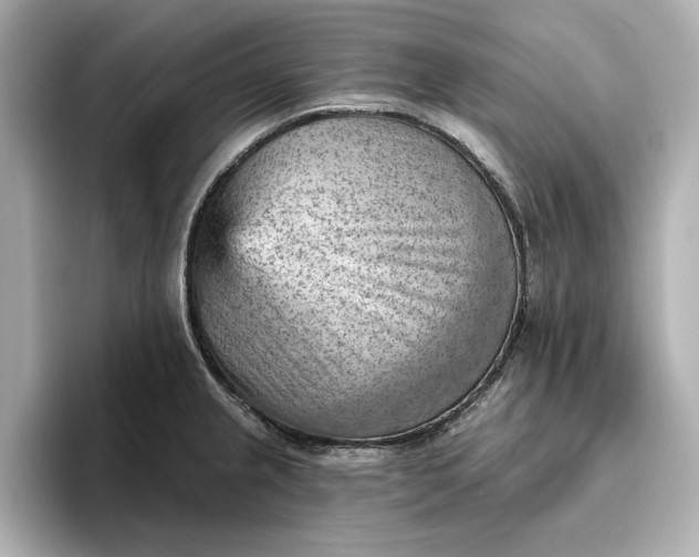 X0000096951237200802221316