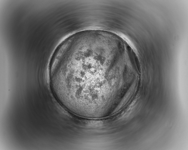 X0000096951238200802221316