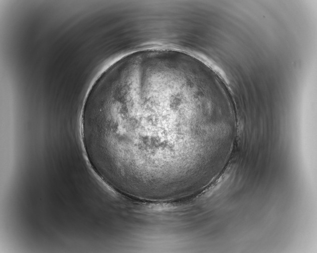 X0000096951239200802221316