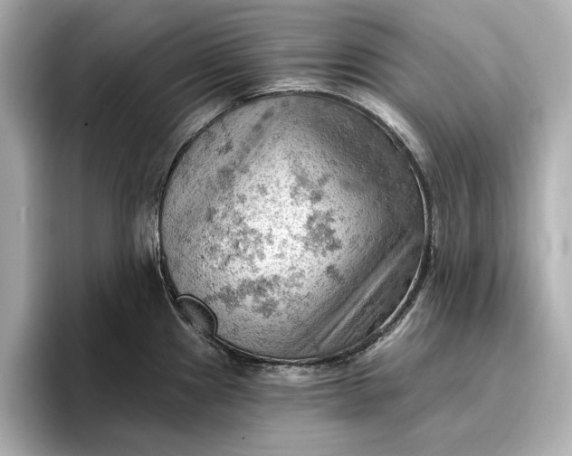 X0000096951241200802221316