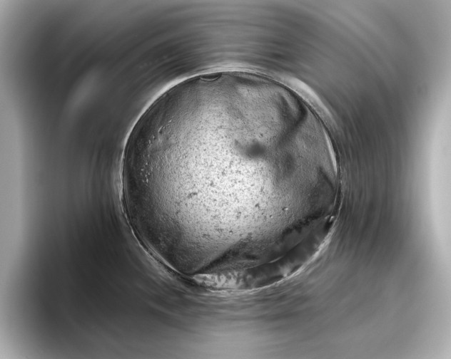 X0000096951244200802221316