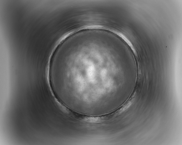 X0000096951245200802221316