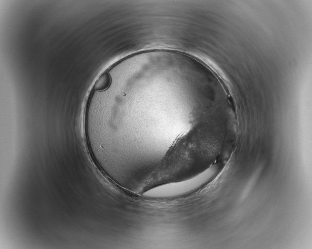 X0000096951246200802221316