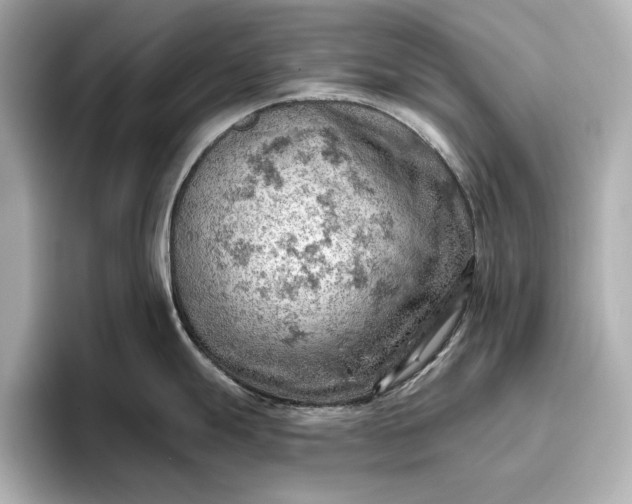 X0000096951247200802221316