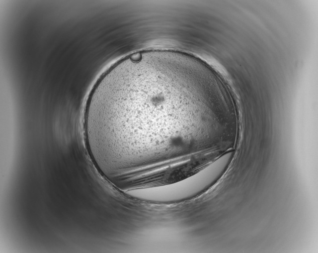 X0000096951248200802221316