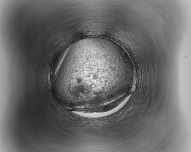 X0000096951250200802221315