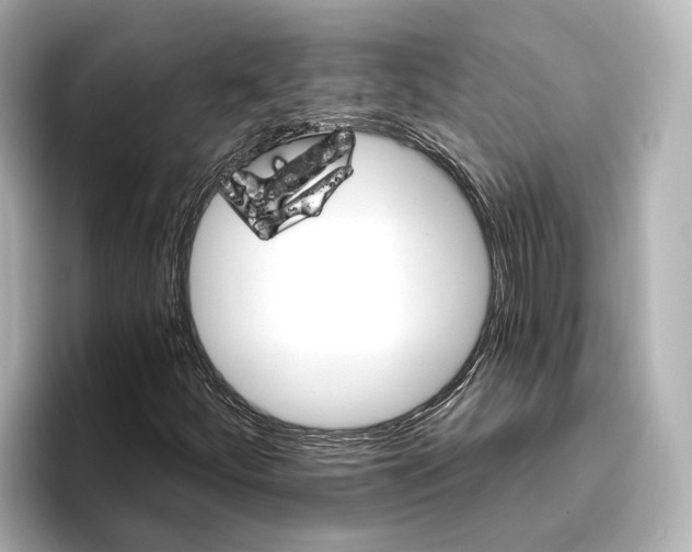 X0000096951252200802221315