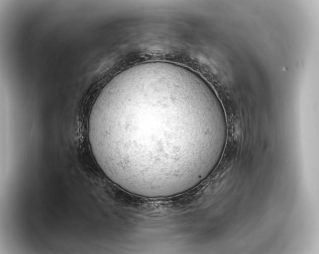 X0000096951253200802221315