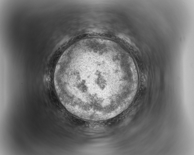 X0000096951254200802221315