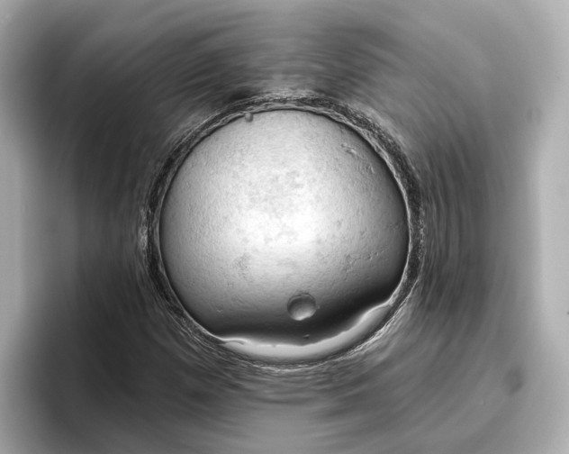 X0000096951257200802221315