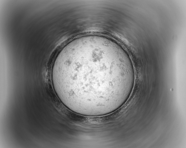 X0000096951258200802221315