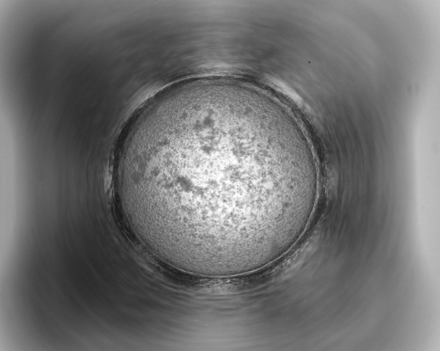 X0000096951259200802221315