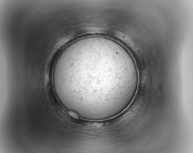 X0000096951261200802221315
