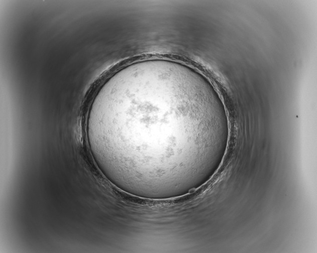 X0000096951262200802221315