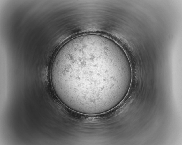 X0000096951265200802221315